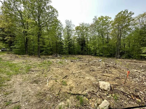 00 Scott Drive Alton NH 03810