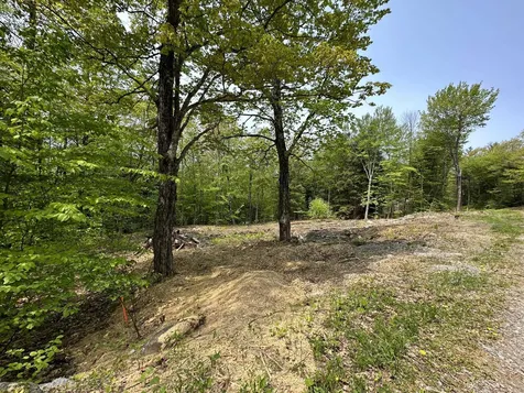 00 Scott Drive Alton NH 03810