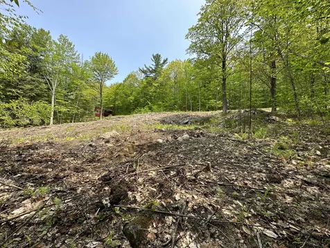 00 Scott Drive Alton NH 03810
