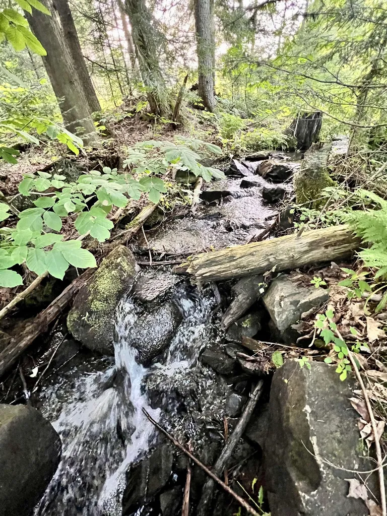0 Bears Den Road Newbury VT 05051