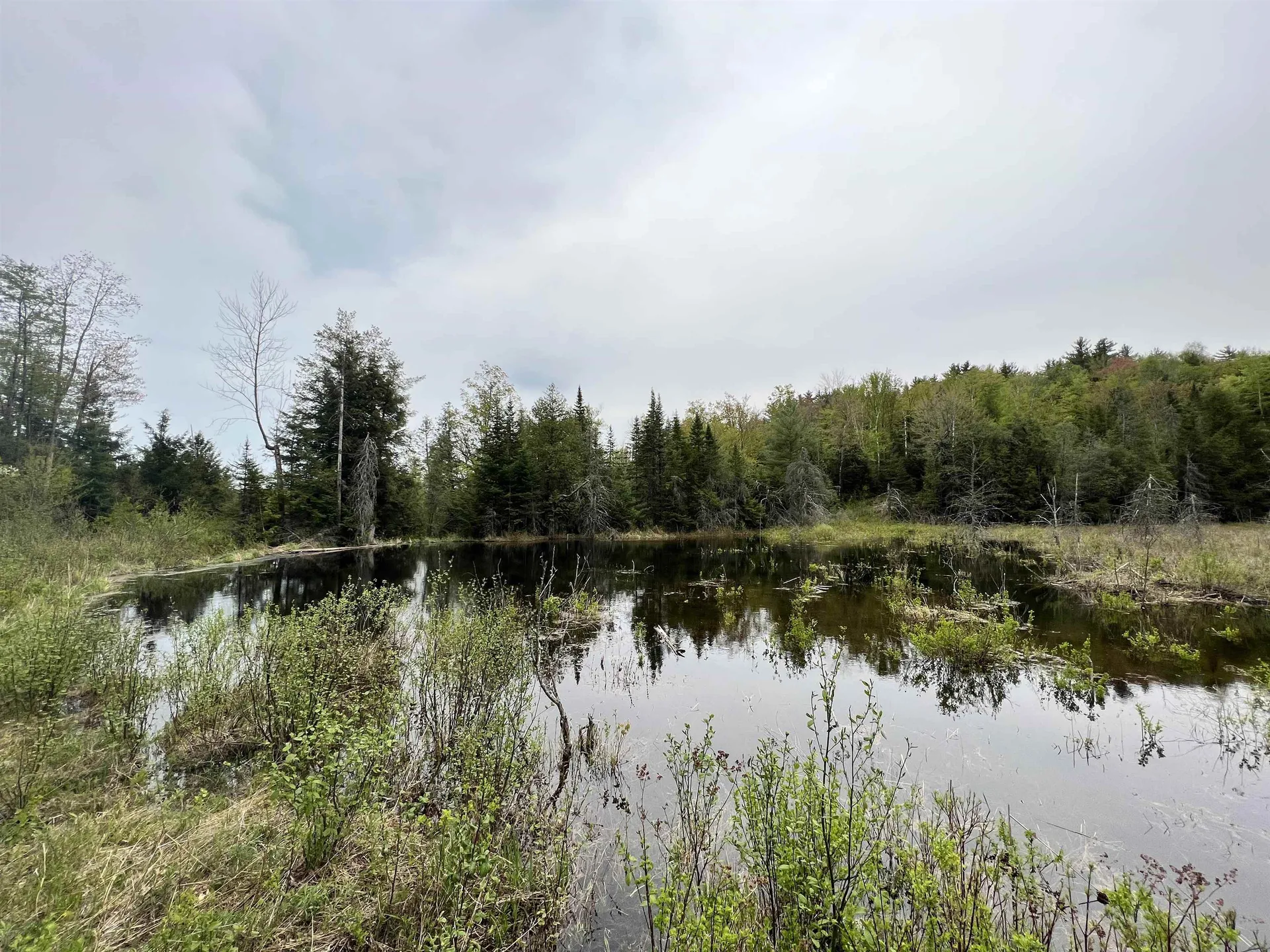 0 Bears Den Road Newbury VT 05051