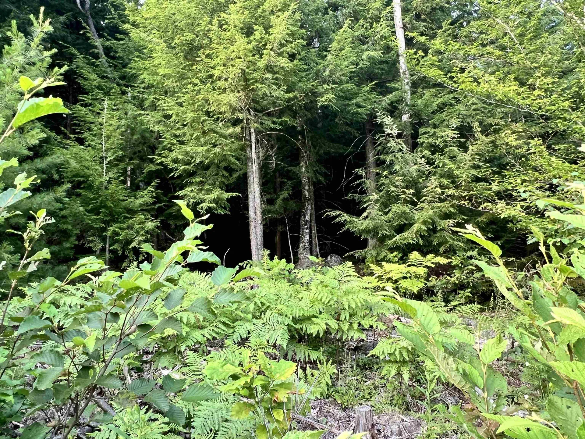 0 Bears Den Road Newbury VT 05051