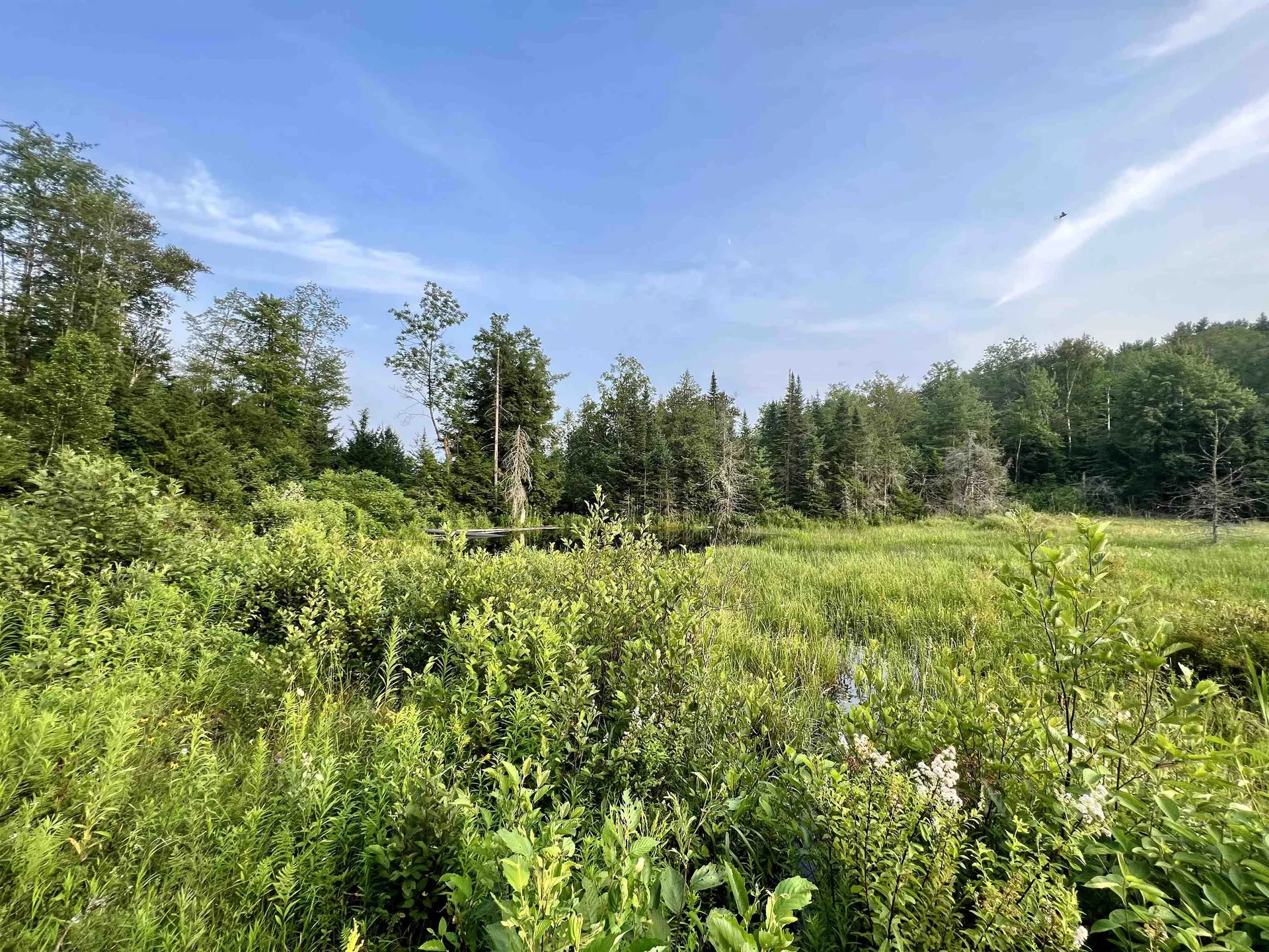 0 Bears Den Road Newbury VT 05051