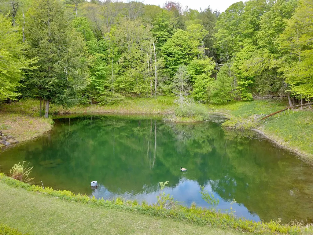619 Clifford Farm Road Sharon VT 05065