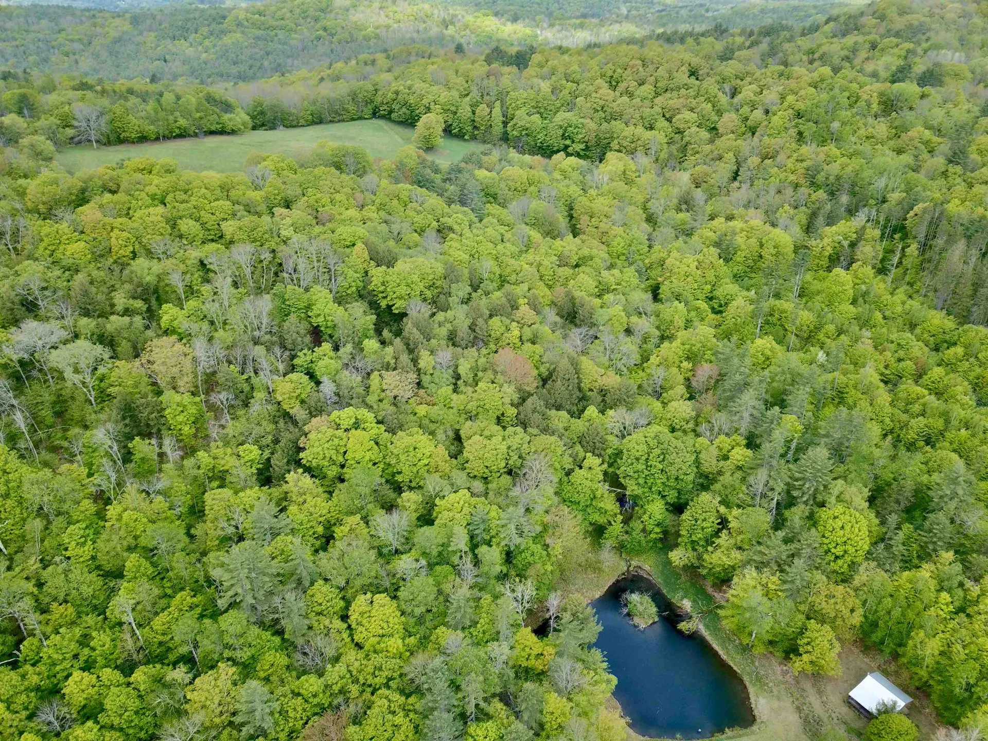 619 Clifford Farm Road Sharon VT 05065