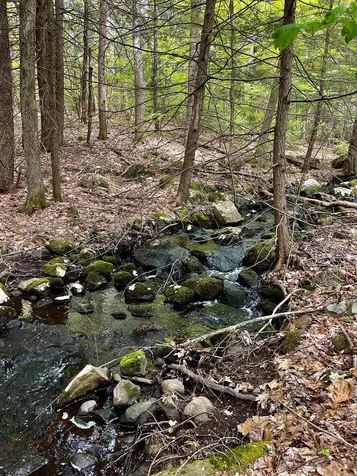 73 Tibbetts Hill Road Goffstown NH 03045