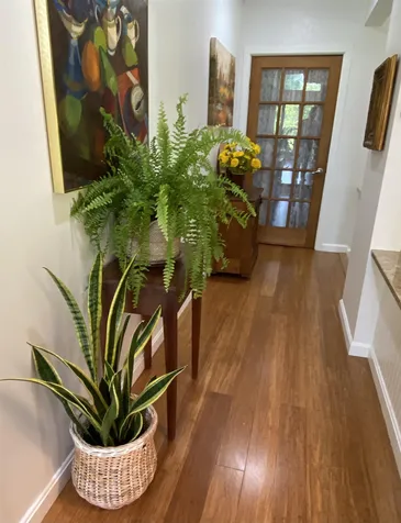 396 East Orchard Street Brattleboro VT 05301