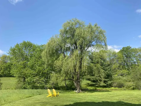 396 East Orchard Street Brattleboro VT 05301