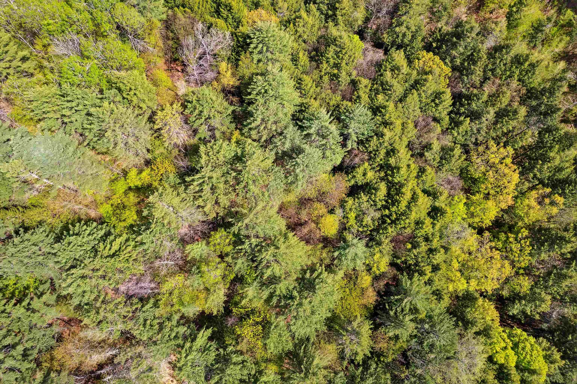 00 Vt Route 14 South Randolph VT 05060