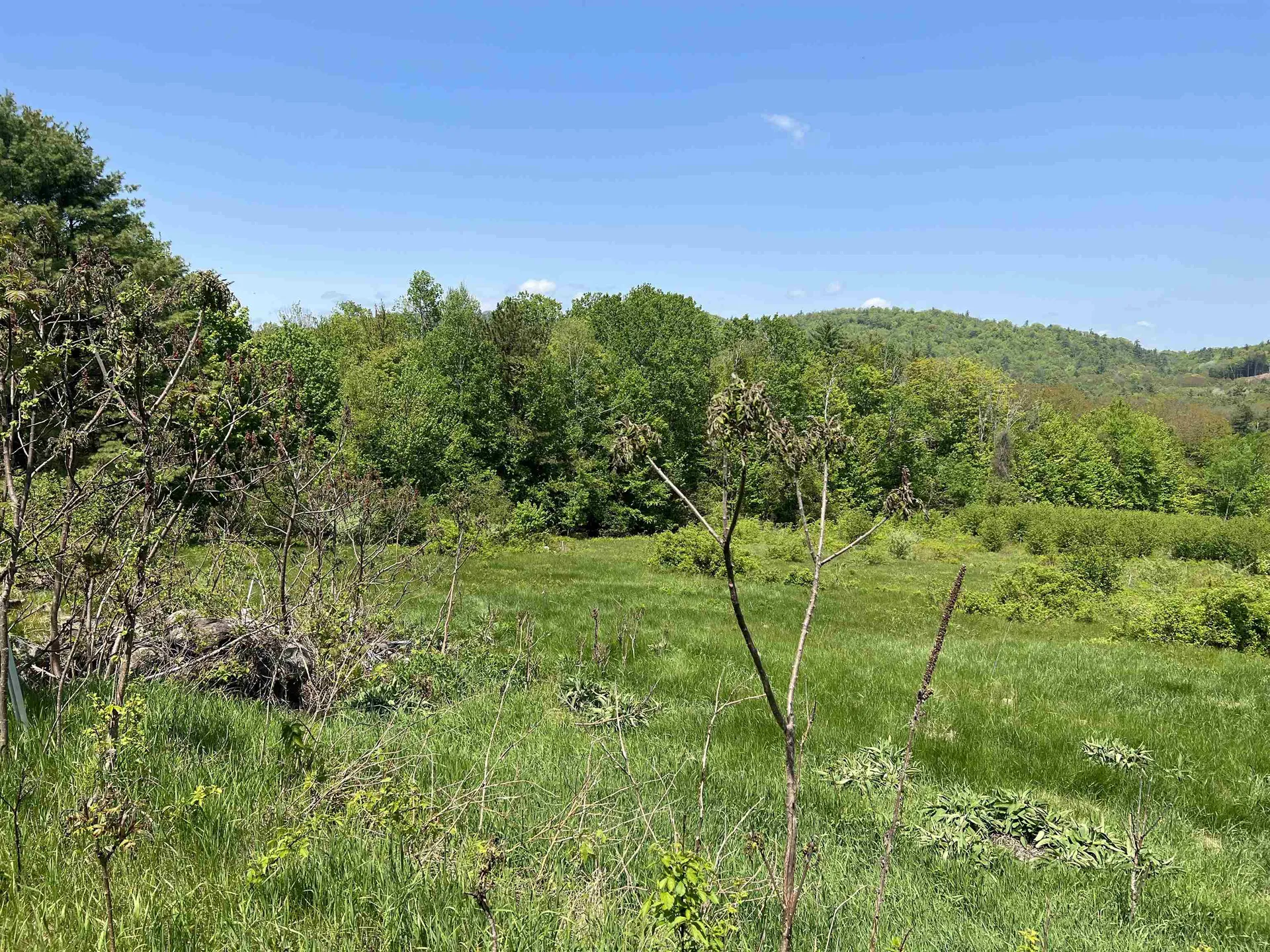 Lot R15-12 Old Bristol Road New Hampton NH 03256