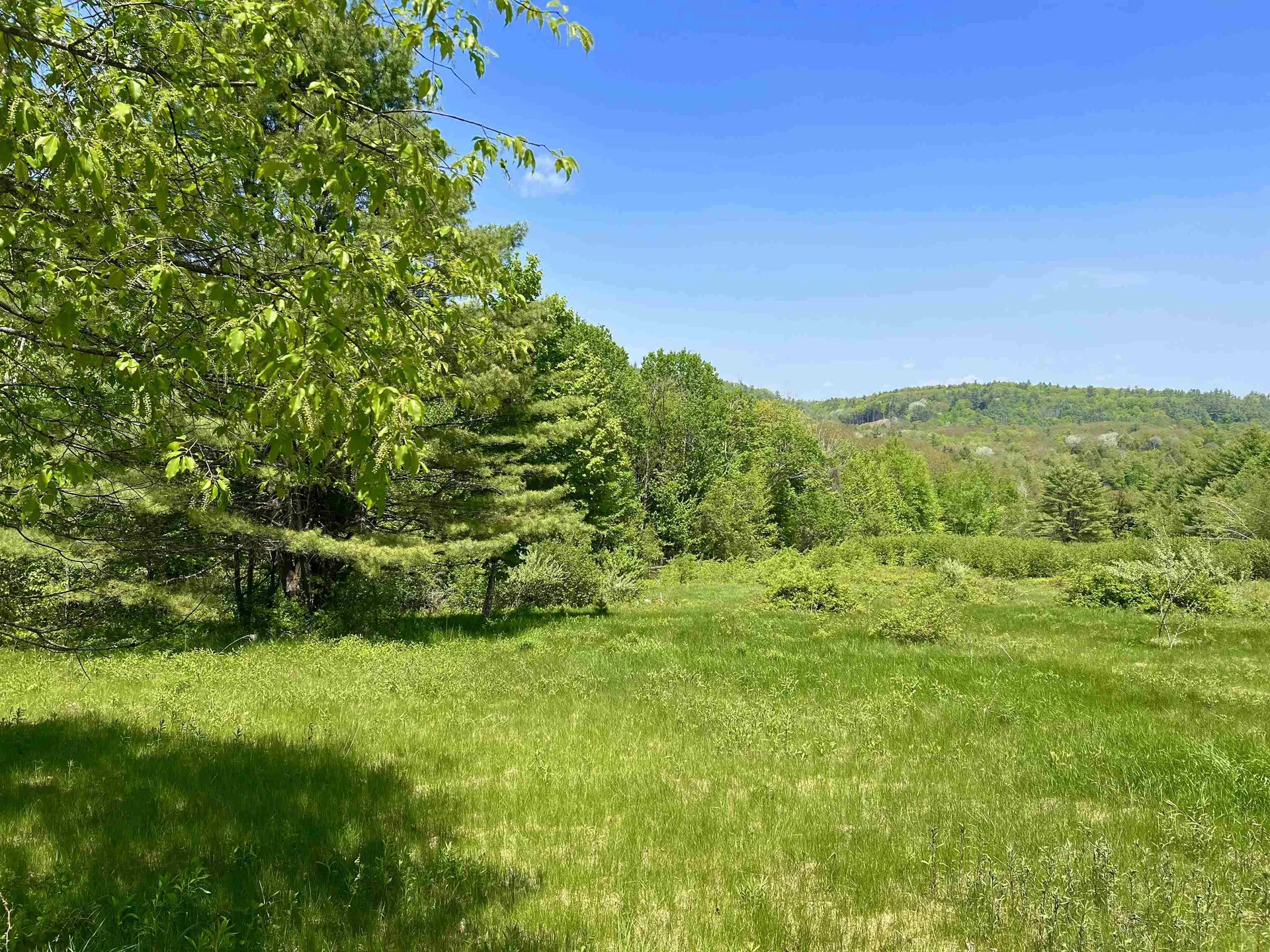 Lot R15-12 Old Bristol Road New Hampton NH 03256