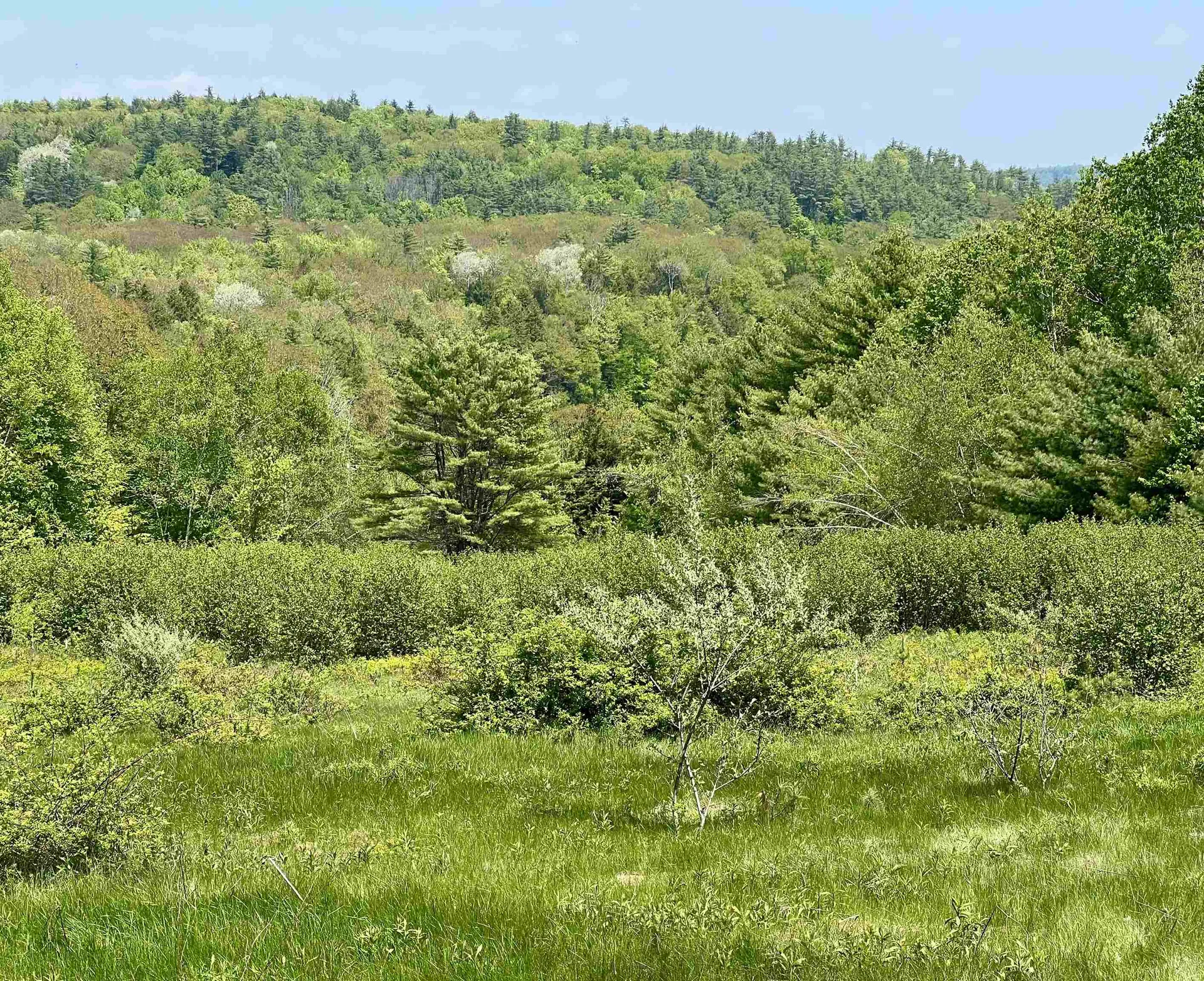 Lot R15-12 Old Bristol Road New Hampton NH 03256