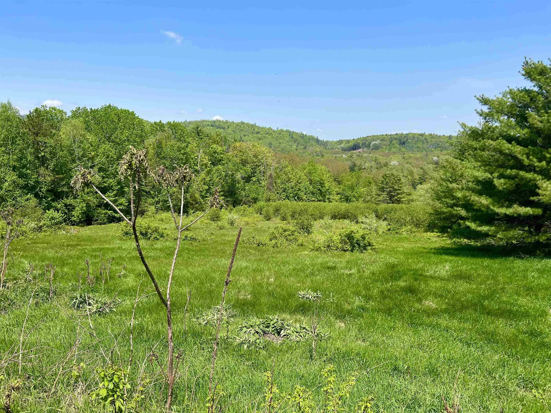 Lot R15-12 Old Bristol Road New Hampton NH 03256