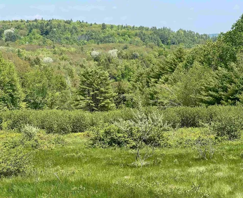 Lot R15-12 Old Bristol Road New Hampton NH 03256