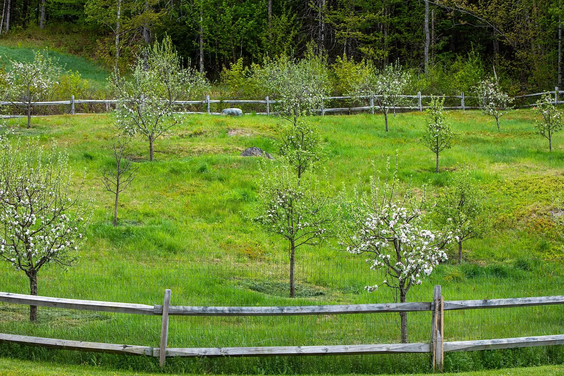 150 Sheep Meadow Lane Bradford VT 05033