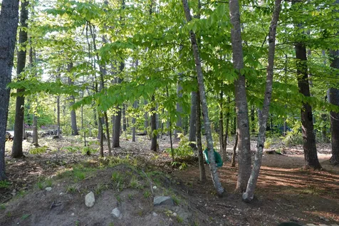 159 Dearborn Road Wakefield NH 03830