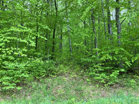 91 Lower Howes Road Wilmington VT 05363