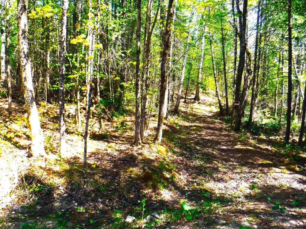 00 Emerson Road Topsham VT 05076