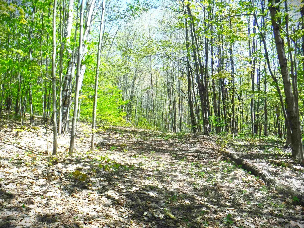 00 Emerson Road Topsham VT 05076