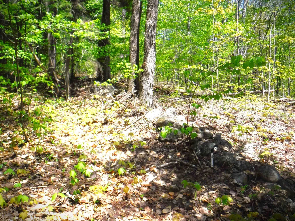 00 Emerson Road Topsham VT 05076