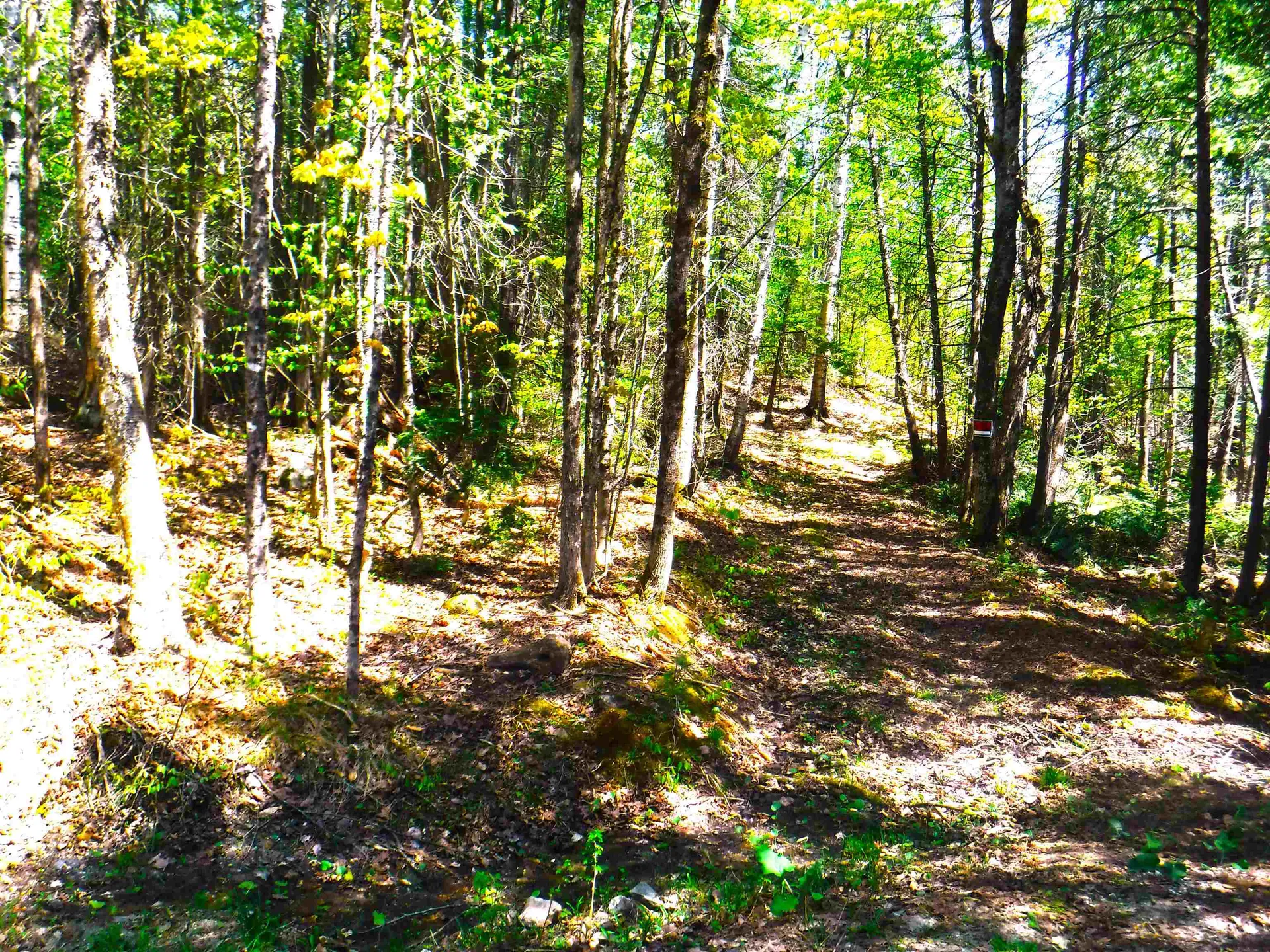 00 Emerson Road Topsham VT 05076