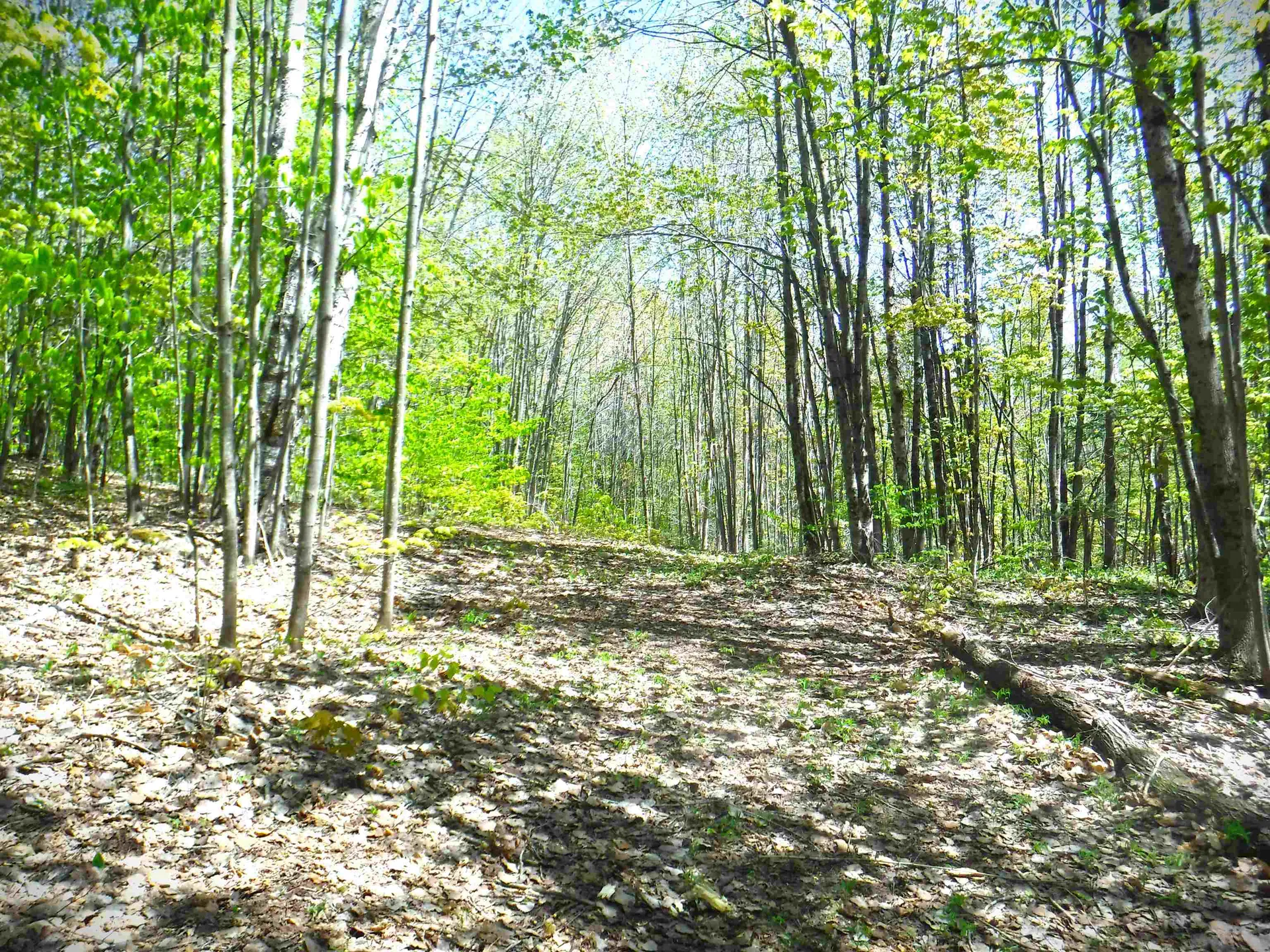 00 Emerson Road Topsham VT 05076