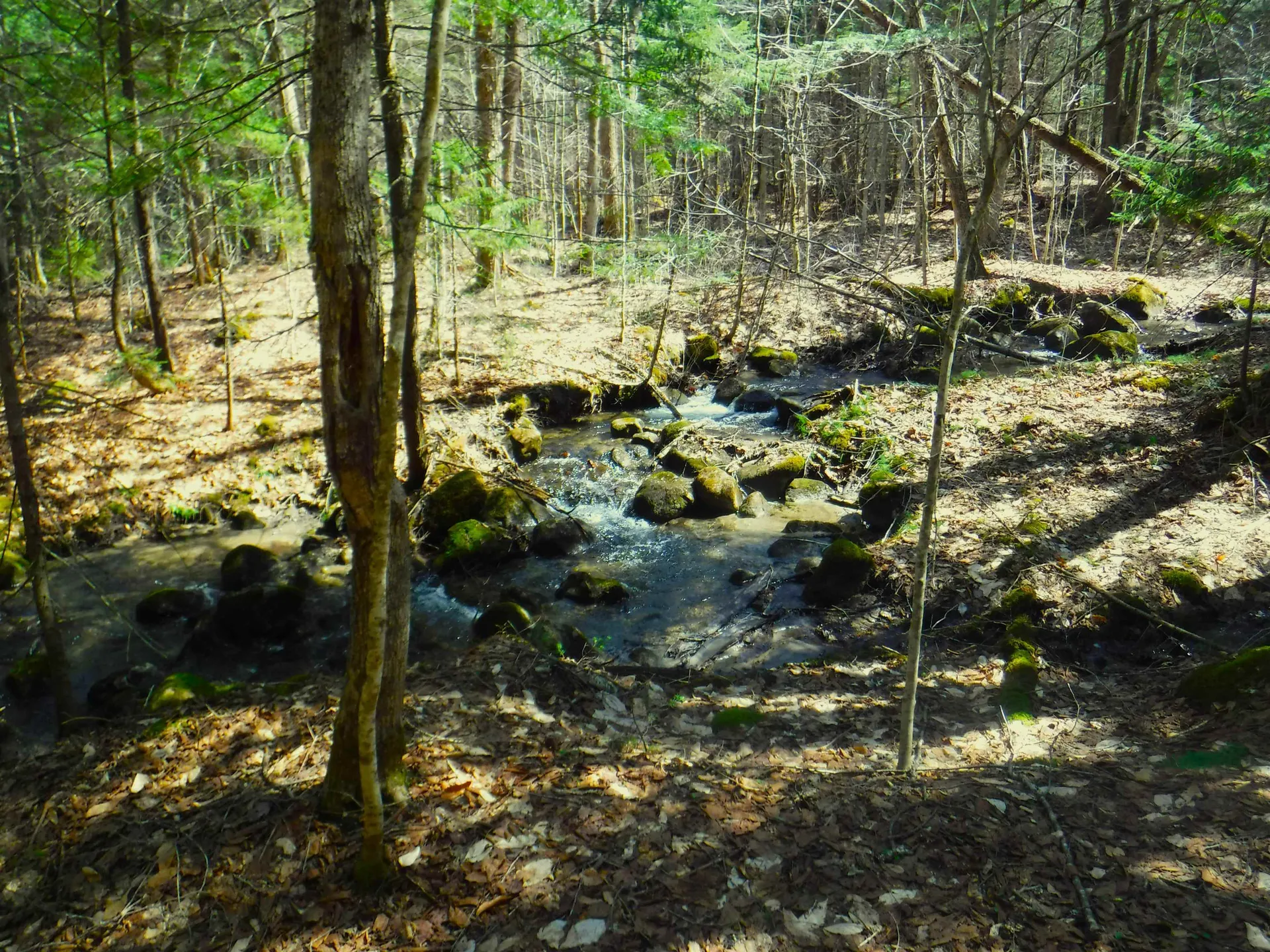 00 Emerson Road Topsham VT 05076