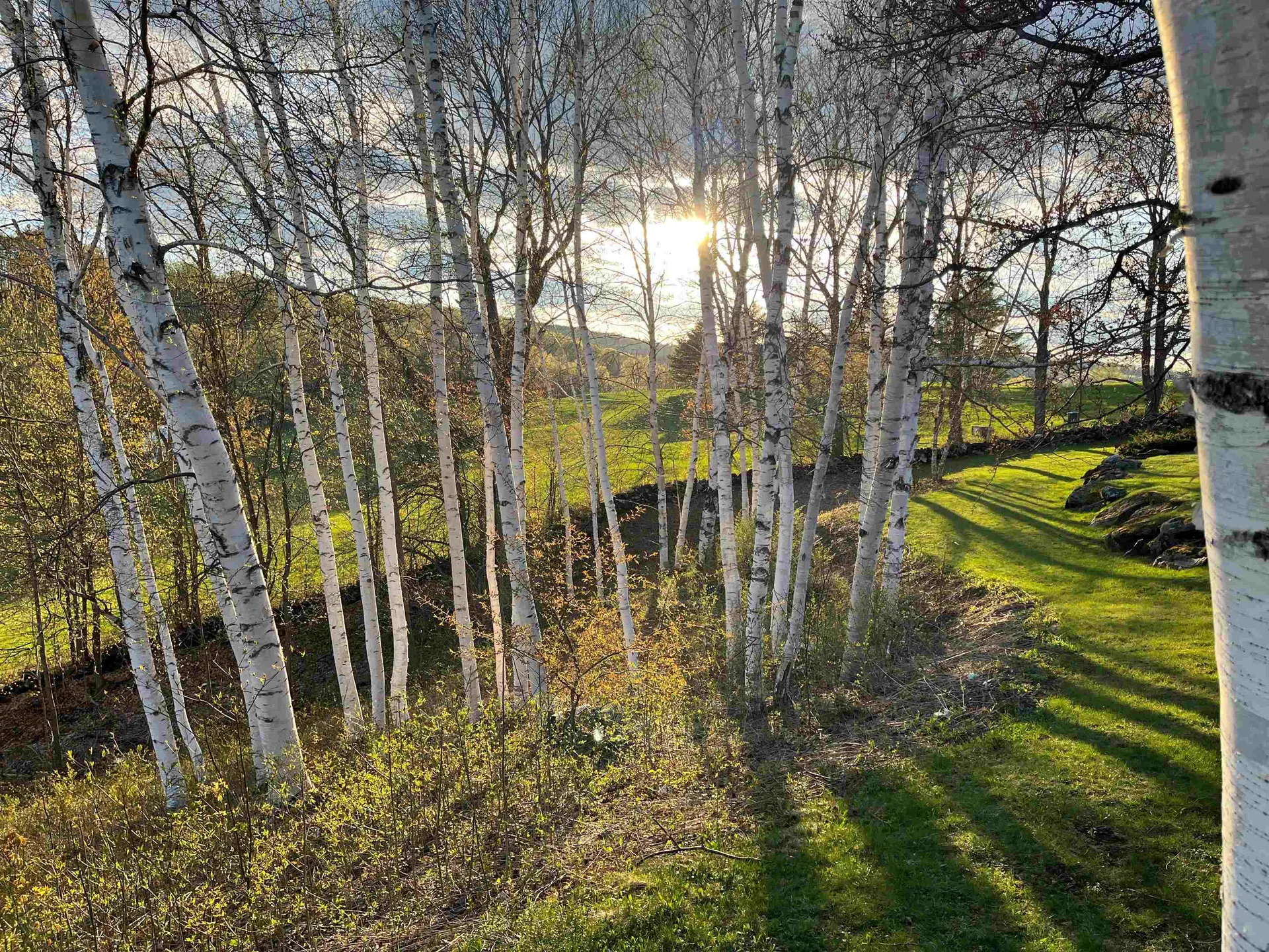282 Fletcher Hill Road Woodstock VT 05071