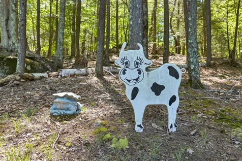 274 Cow Island Tuftonboro NH 03816