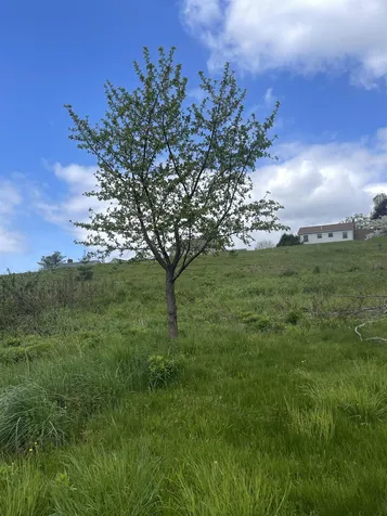 282 Main Street Montpelier VT 05602