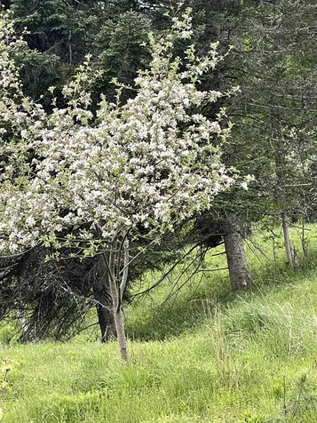 282 Main Street Montpelier VT 05602