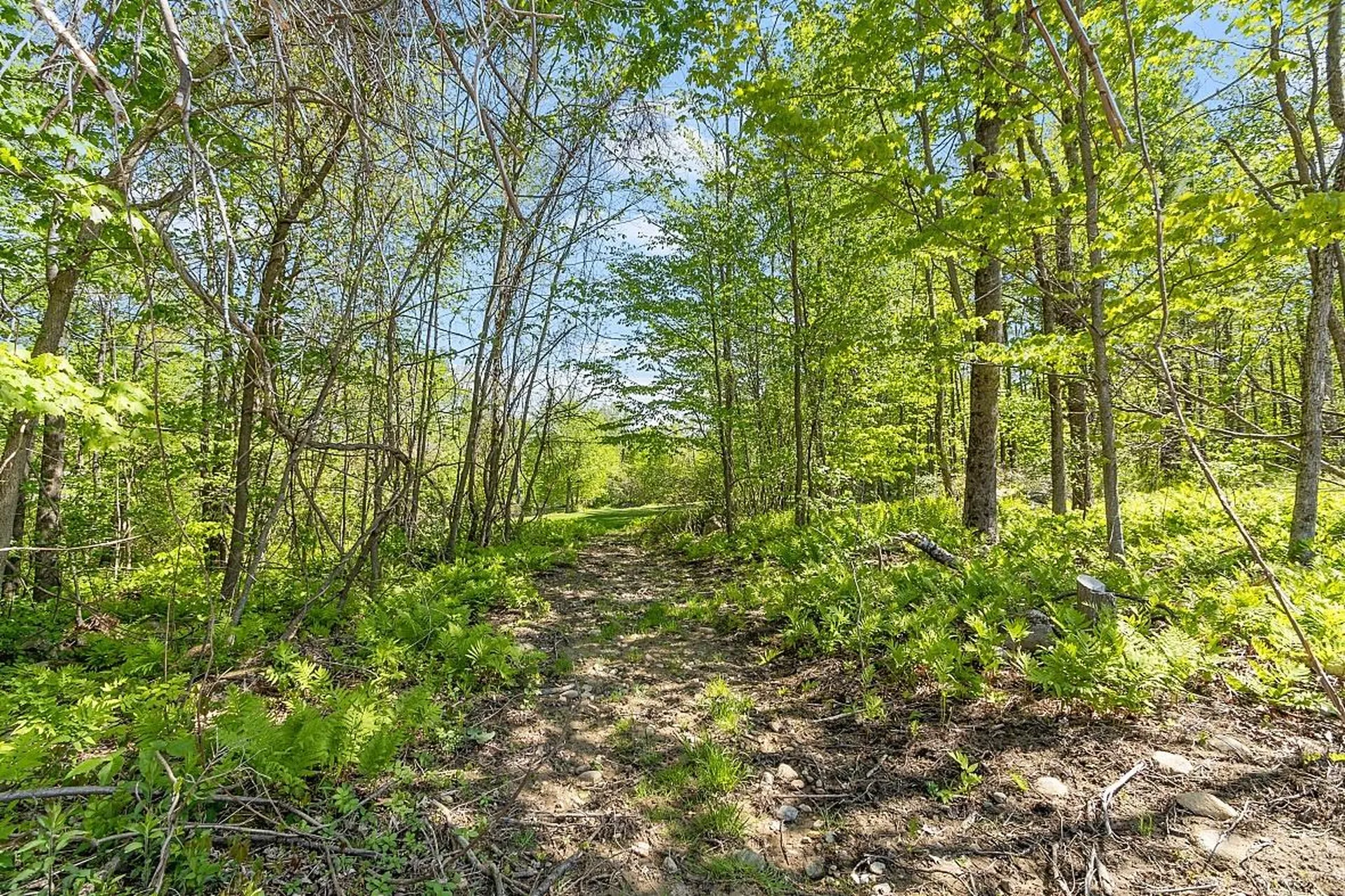 150 Berry Road New Durham NH 03855
