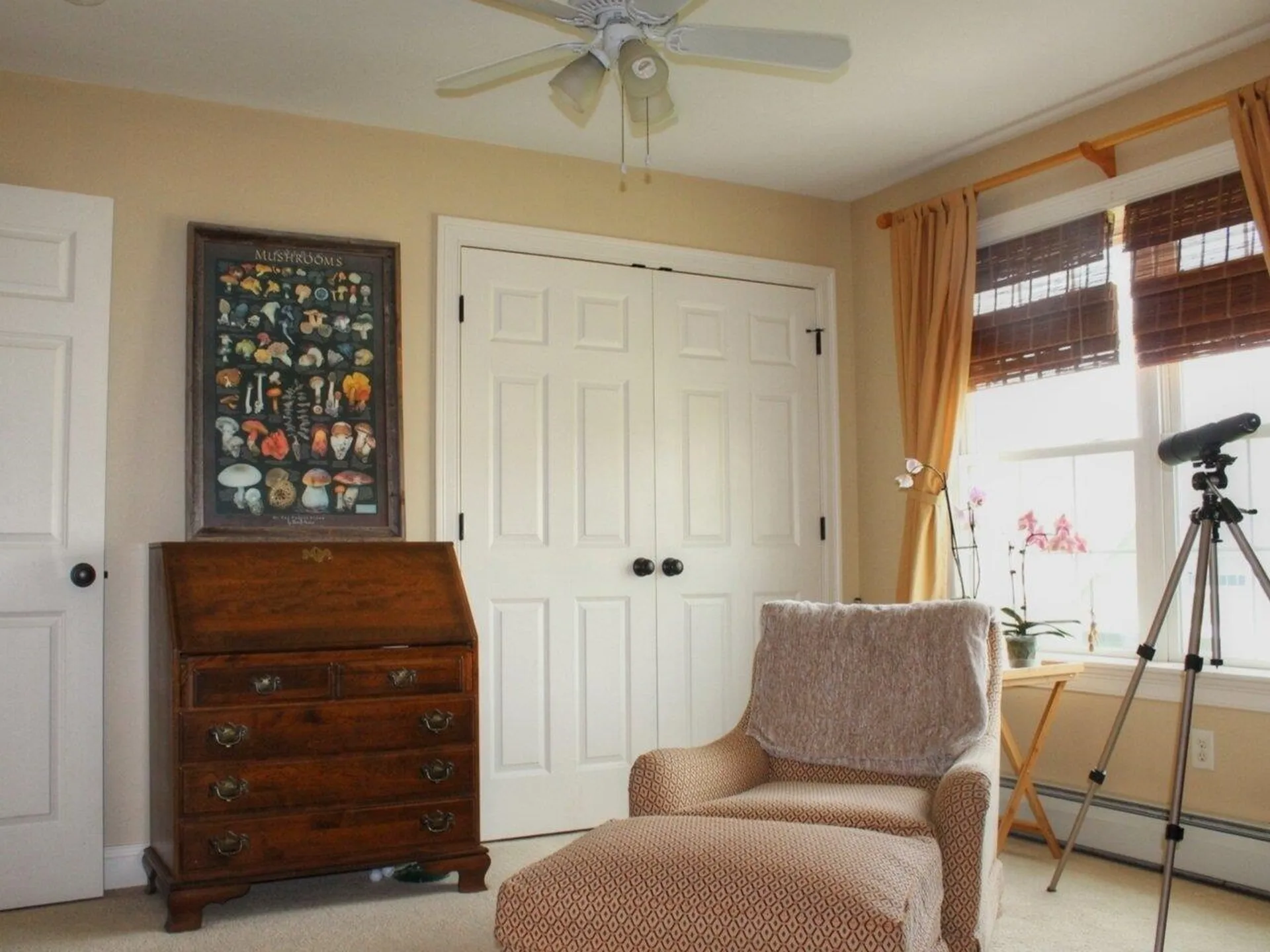 90 Madison Drive Williston VT 05495