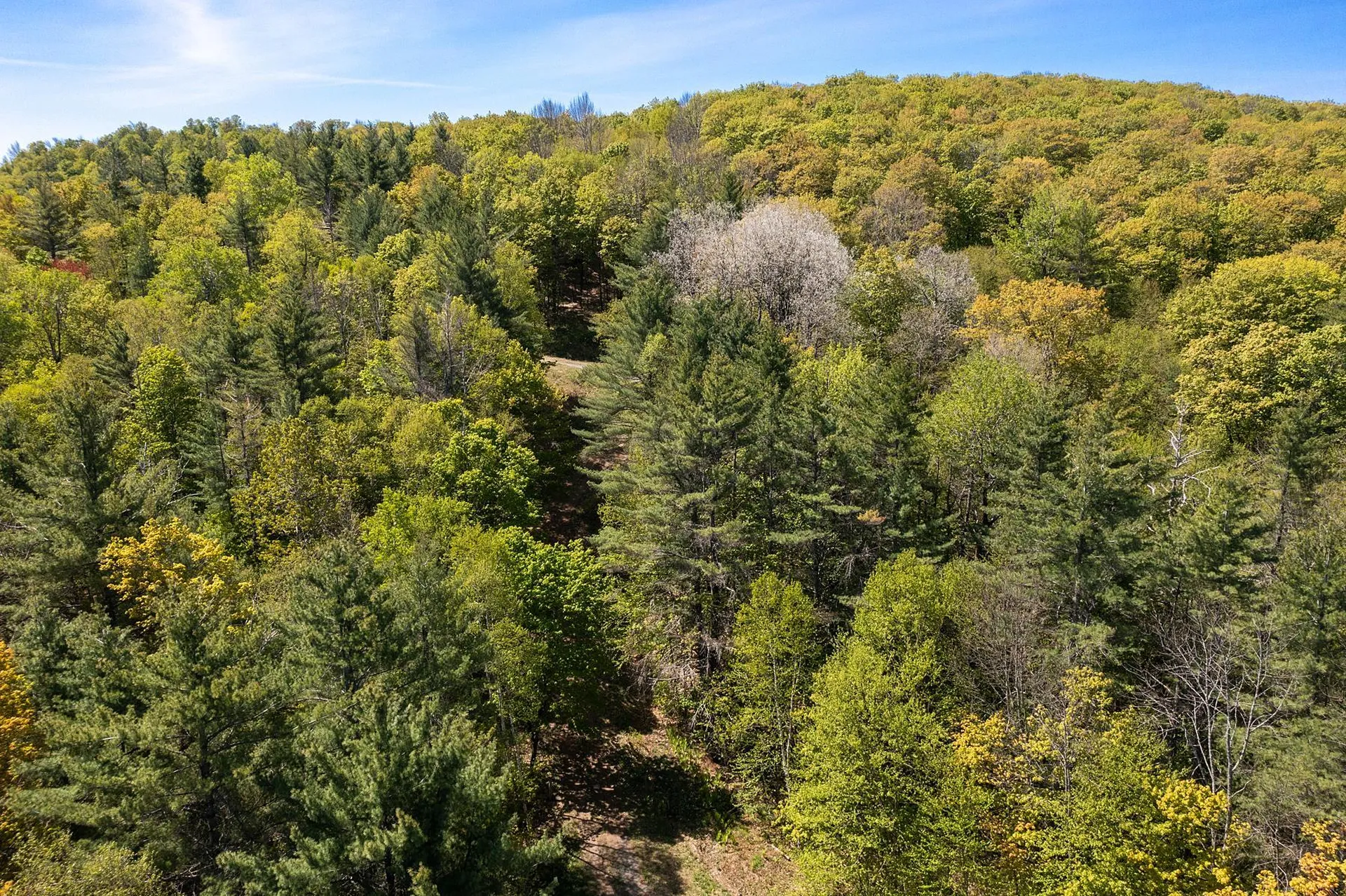 00 Twin Ponds Road Pomfret VT 05068