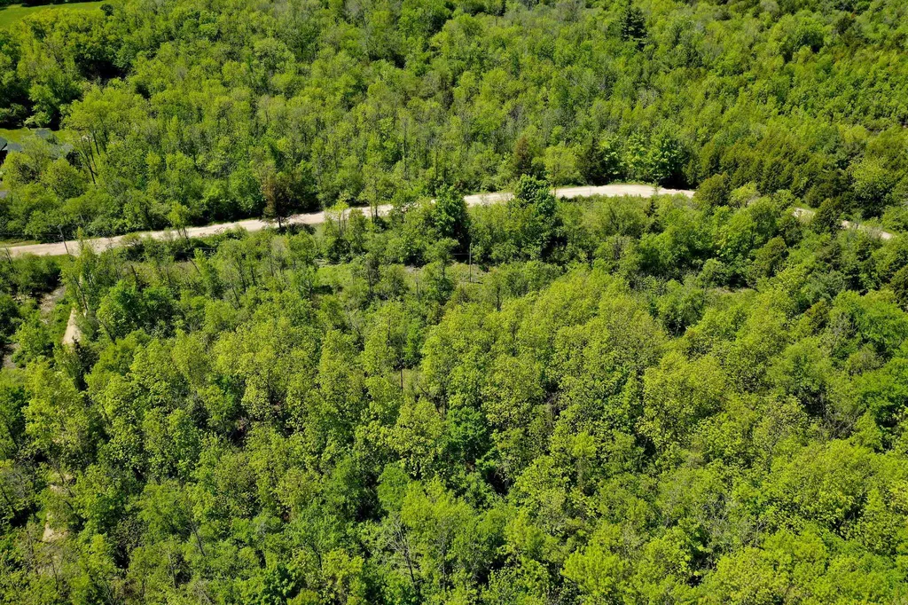 Lot 1 Featherbed Lane South Hero VT 05486