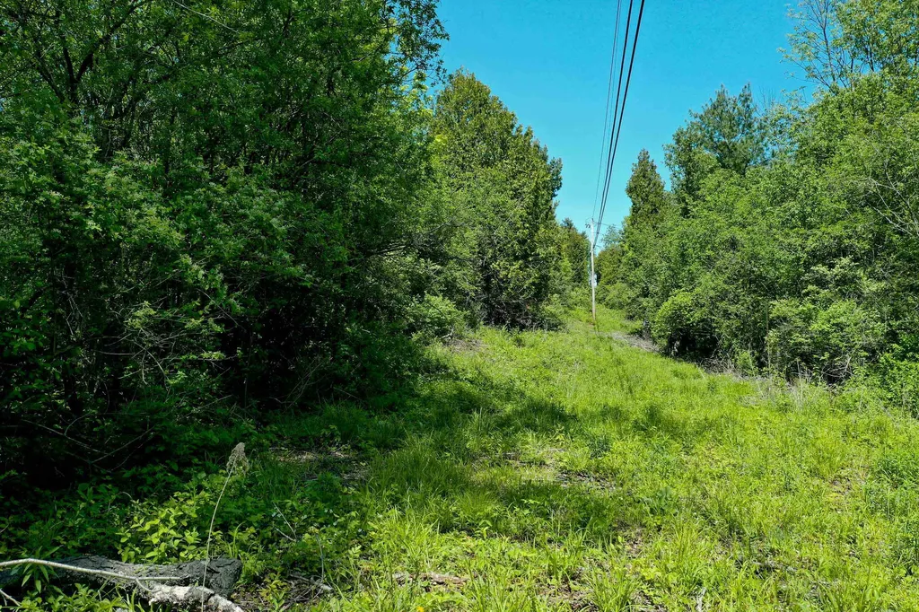 Lot 1 Featherbed Lane South Hero VT 05486
