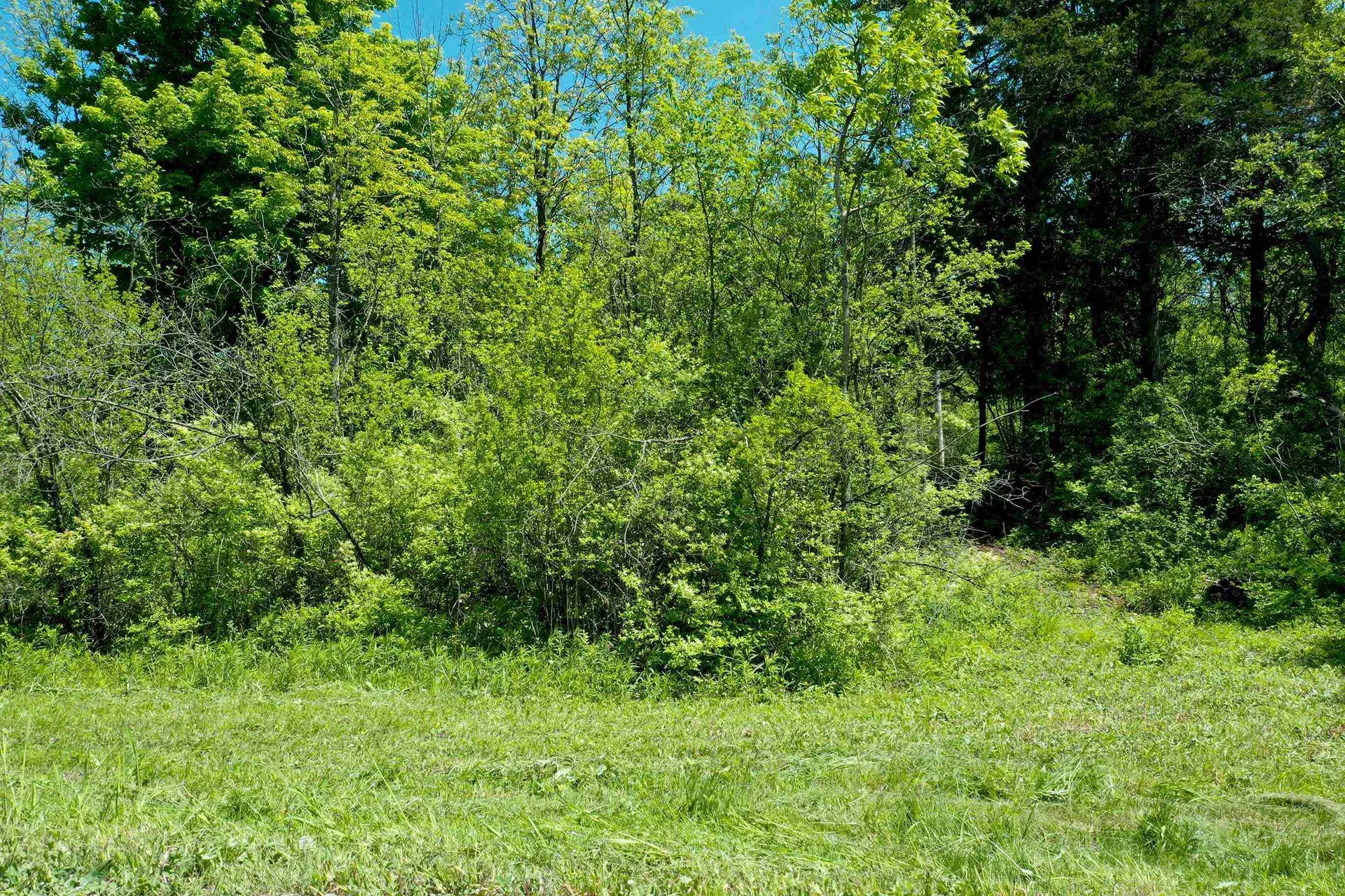 Lot 1 Featherbed Lane South Hero VT 05486