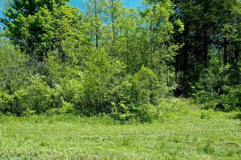 Lot 1 Featherbed Lane South Hero VT 05486