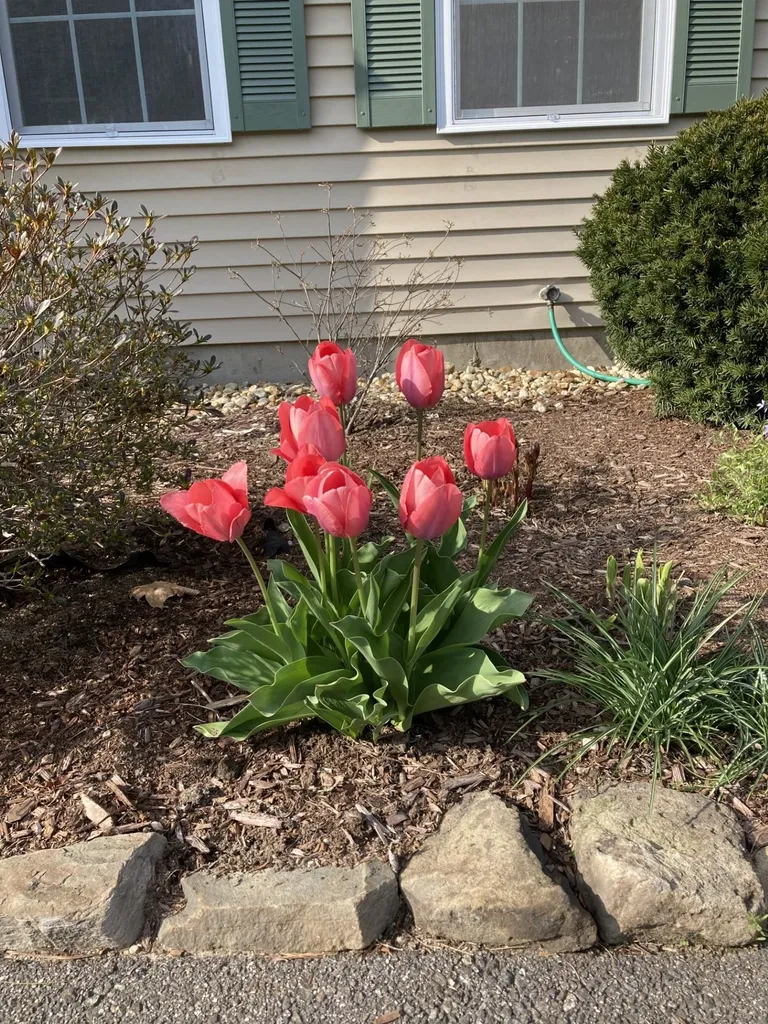 75 Arrowcrest Drive Swanzey NH 03446