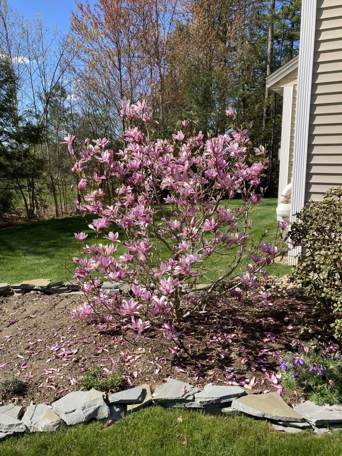 75 Arrowcrest Drive Swanzey NH 03446