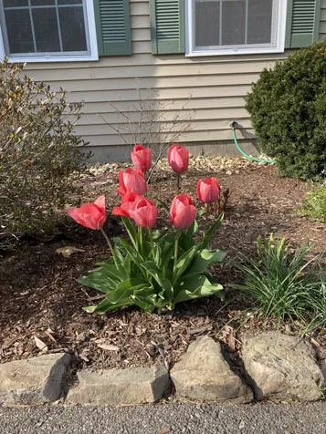75 Arrowcrest Drive Swanzey NH 03446