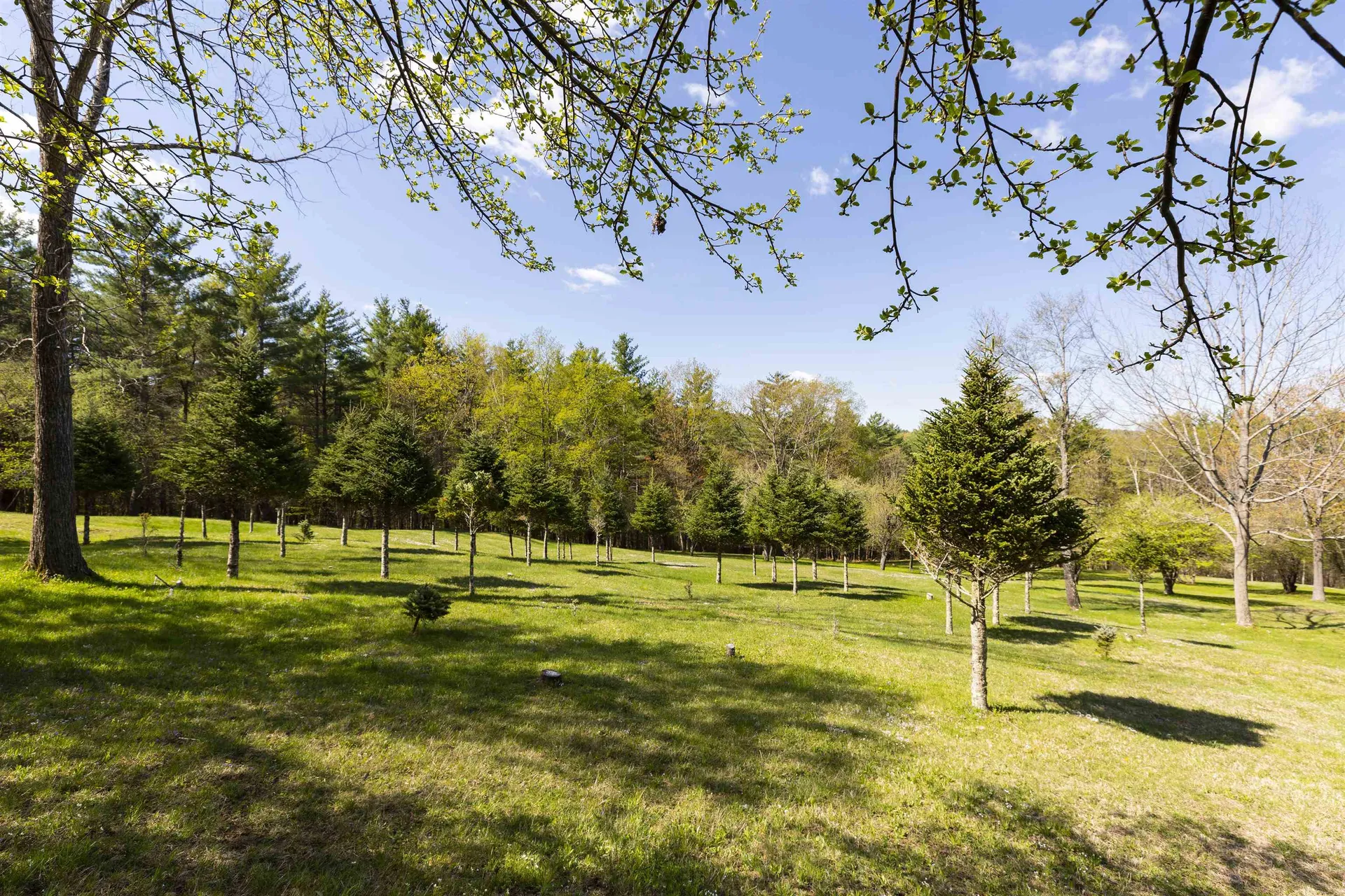 456 Willow Brook Road Plainfield NH 03781