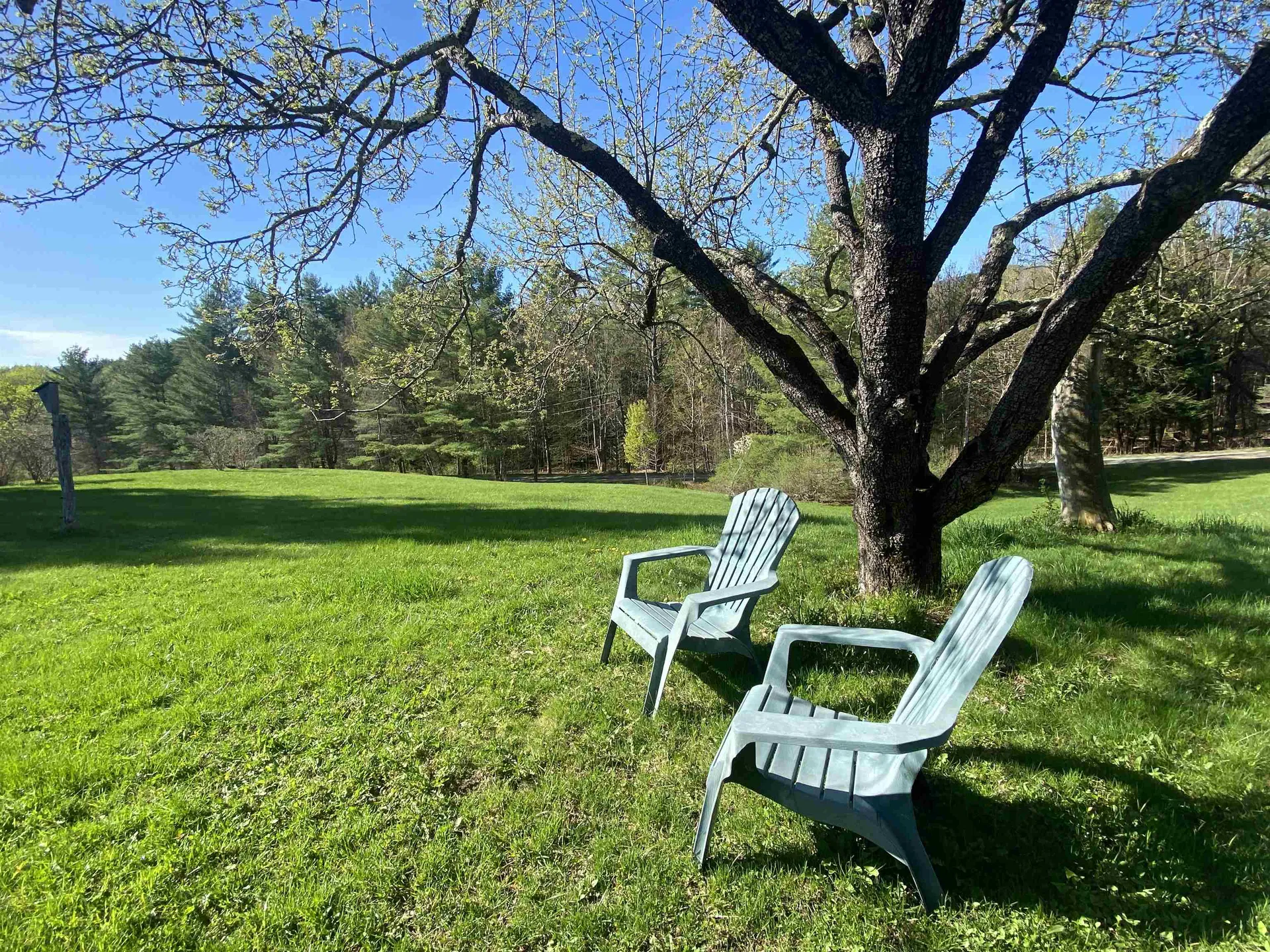903 Gould Hill Johnson VT 05656