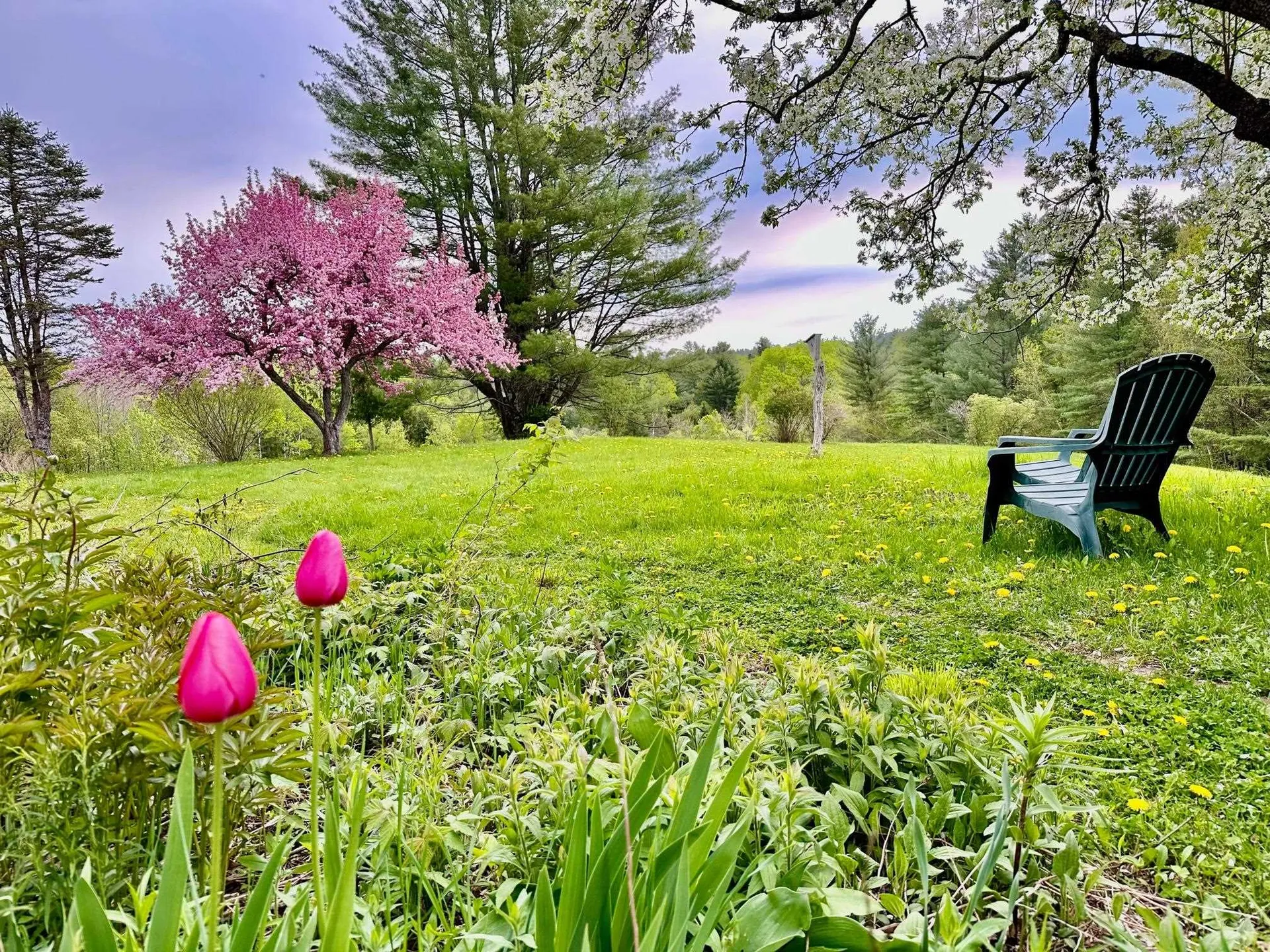 903 Gould Hill Johnson VT 05656