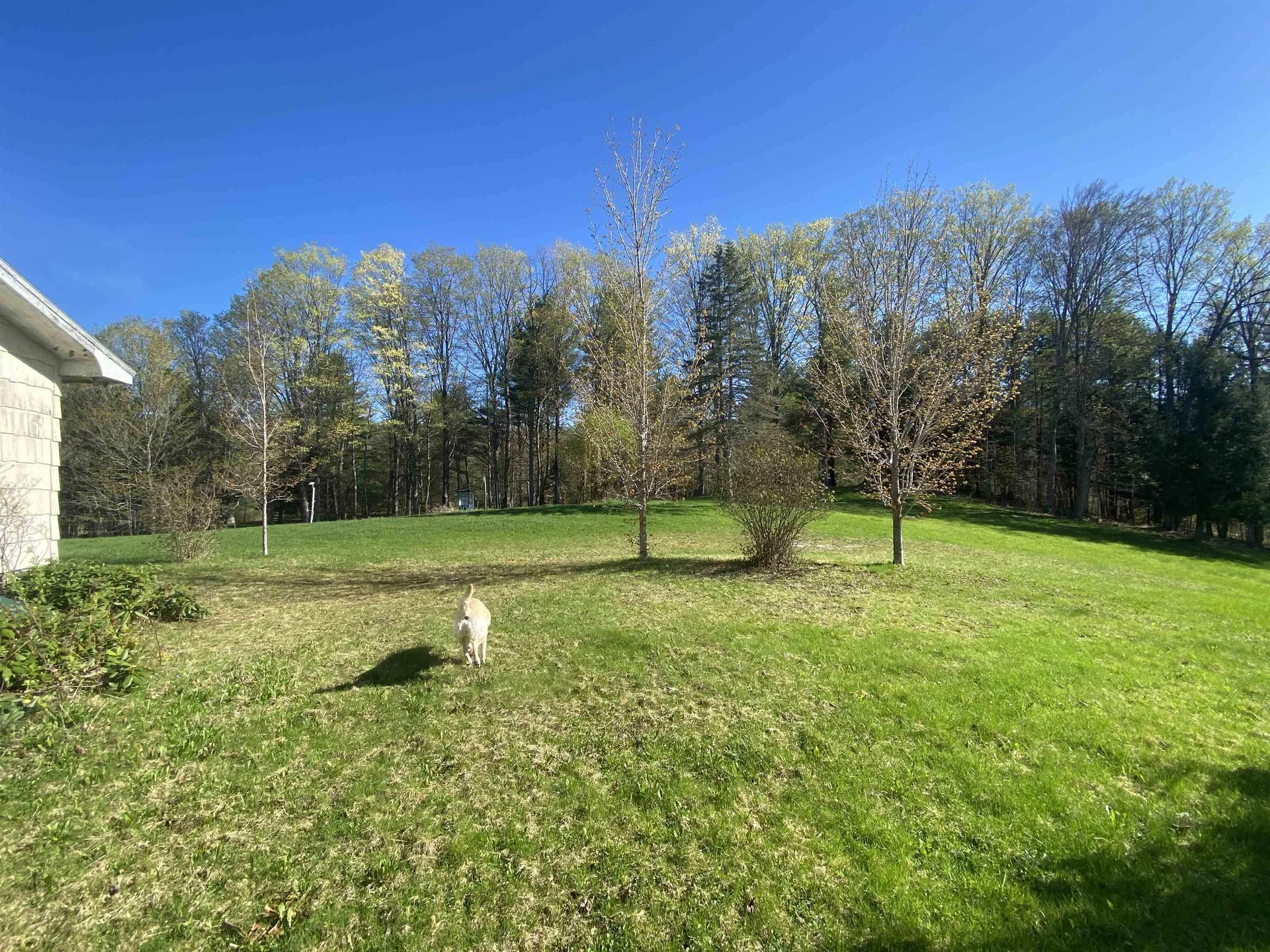 903 Gould Hill Johnson VT 05656