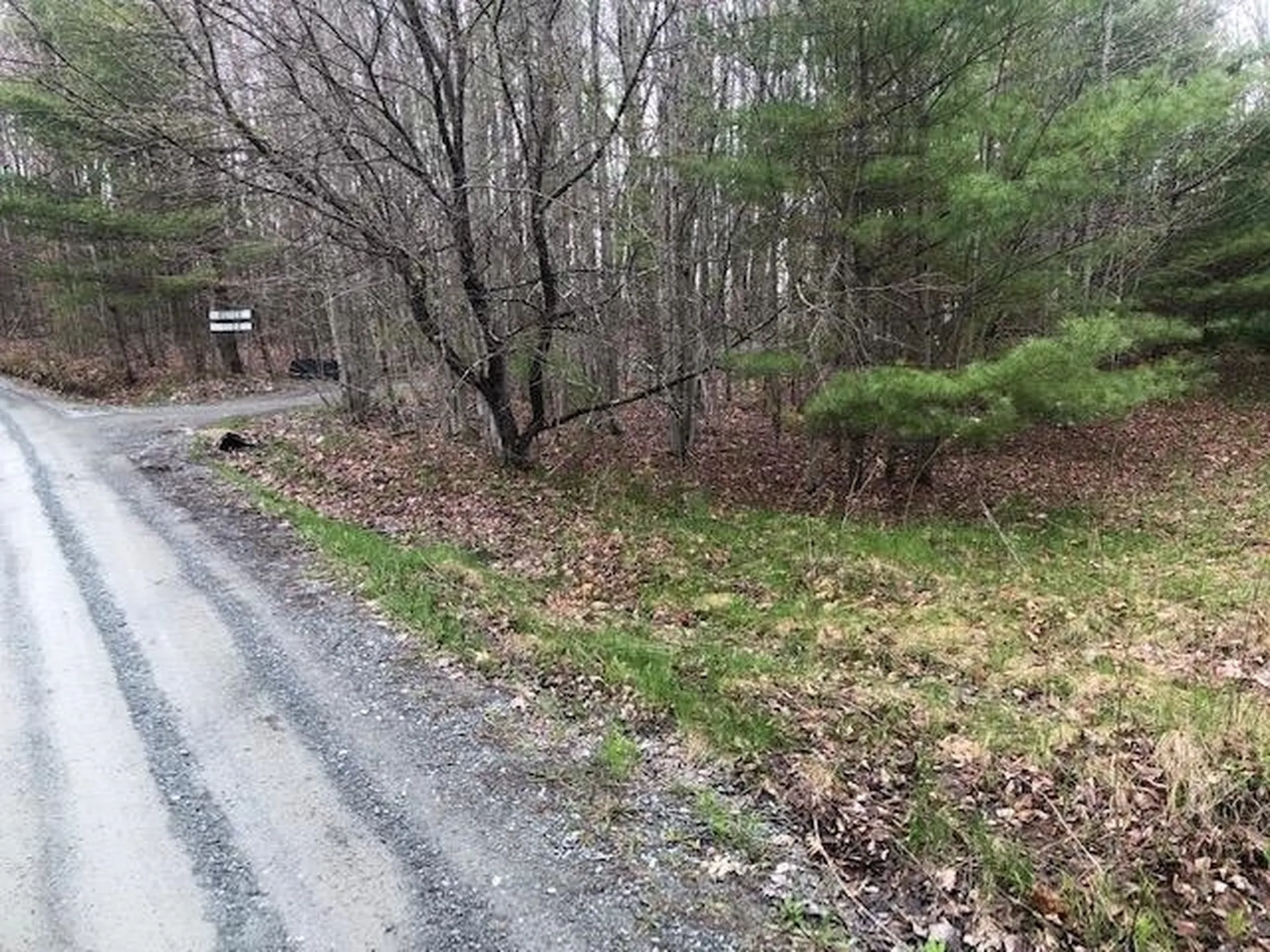 Tenney Pond Road Newbury VT 05051