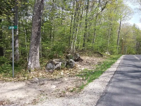 Wintersport/albert Street Moultonborough NH 03254