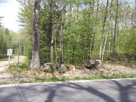Wintersport/albert Street Moultonborough NH 03254