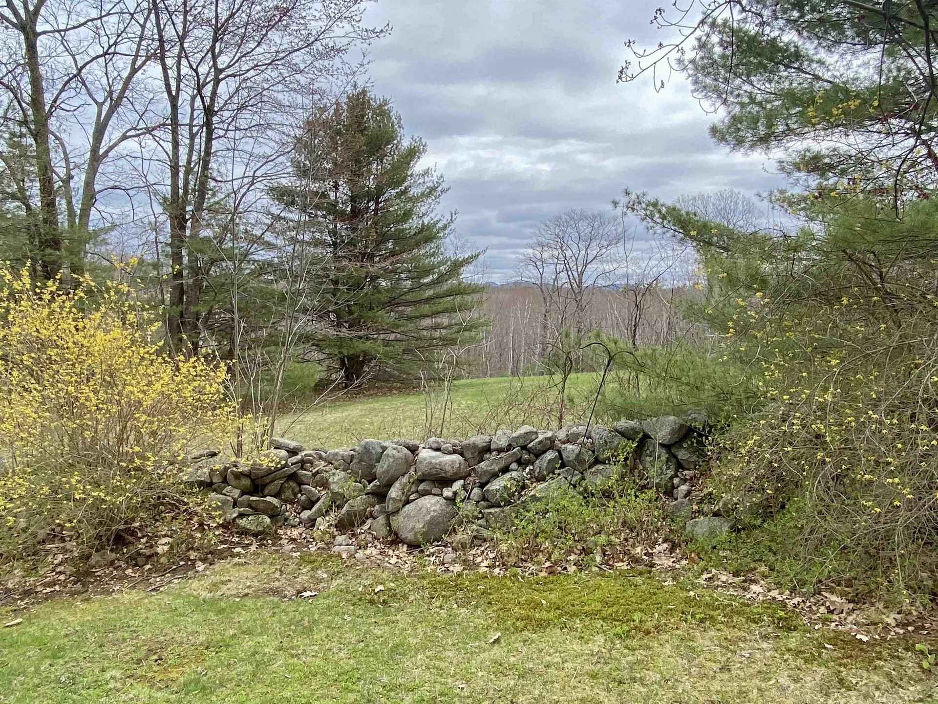 61 Hemlock Drive Wolfeboro NH 03894