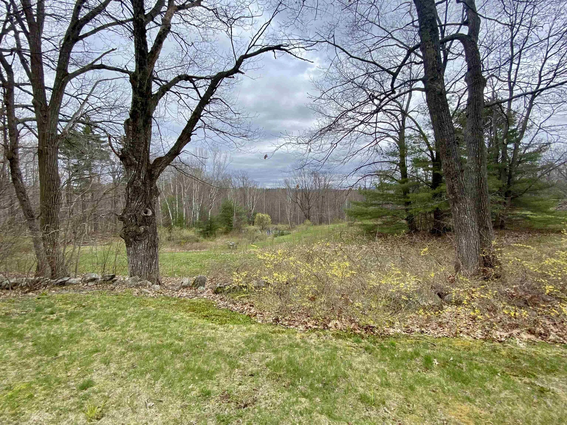 61 Hemlock Drive Wolfeboro NH 03894